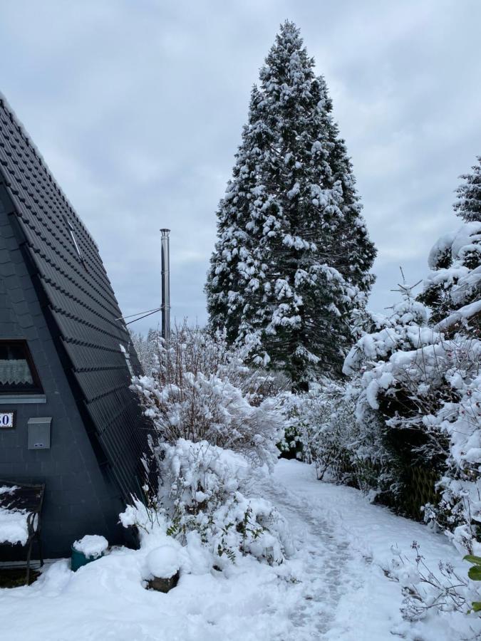 Ferienhaus Im Feriendorf Freilingen Freilingen  외부 사진